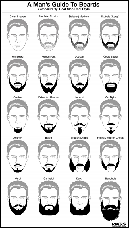 beards infographic