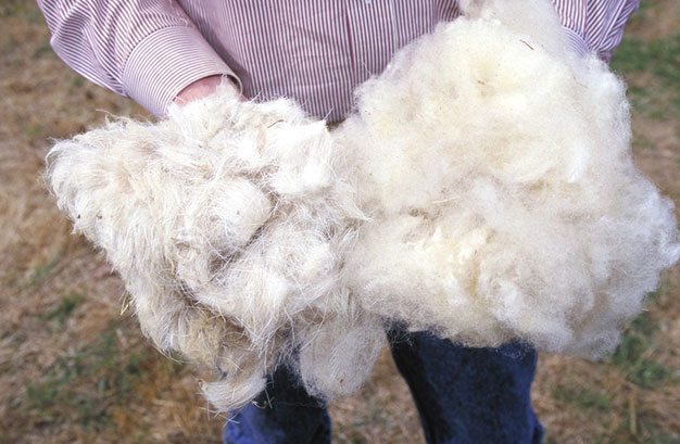 Everything a Man Needs to Know about Wool Fabrics (In One Easy Post)