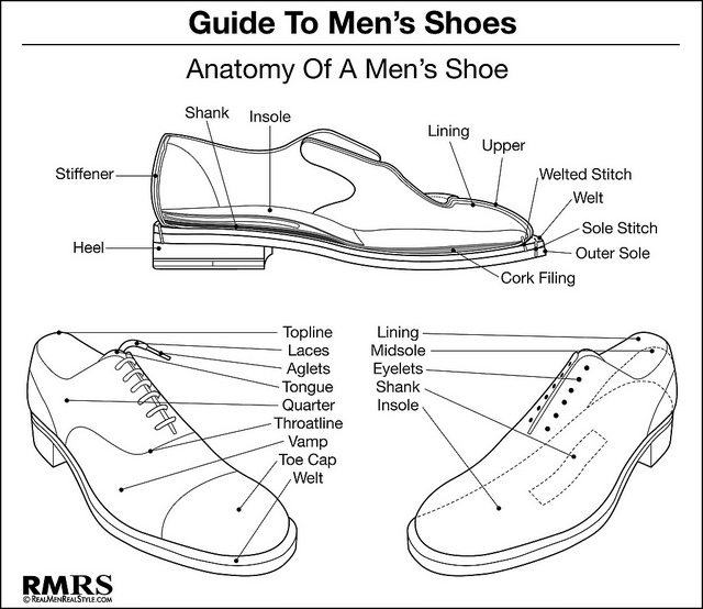 anatomy of men's shoes infographic