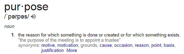purpose-definition-Google-Search