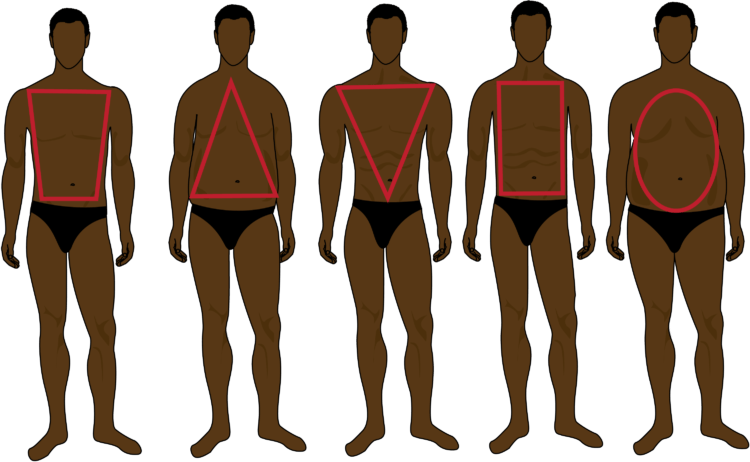 Mens-body-types
