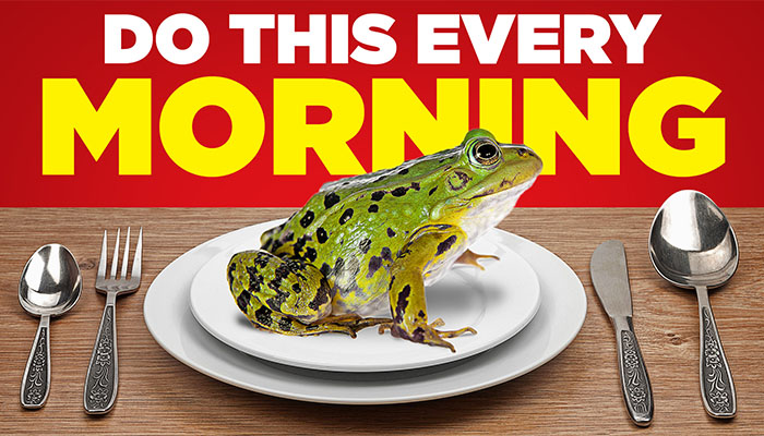 a frog on a plate