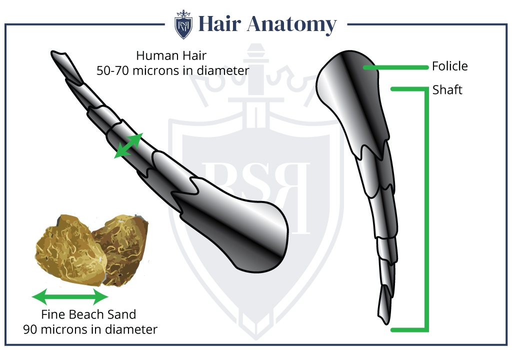 Infographic Hair-Anatomy how to brush men's hair