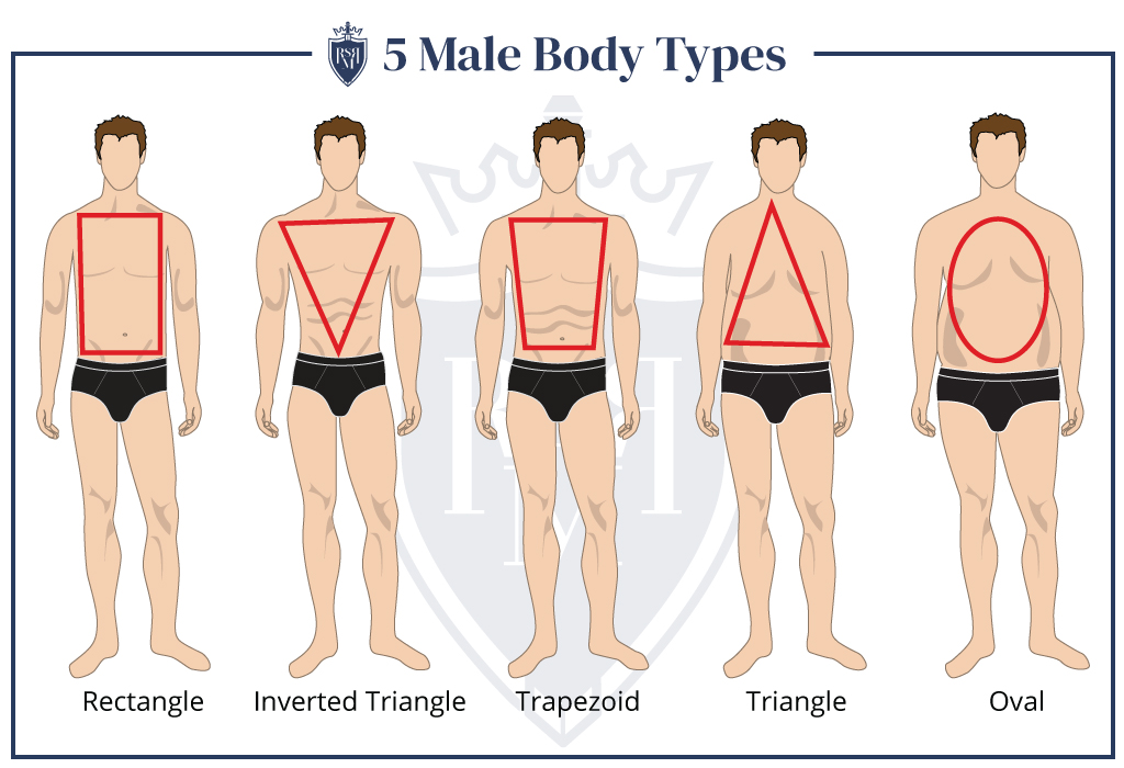 infographic male body types