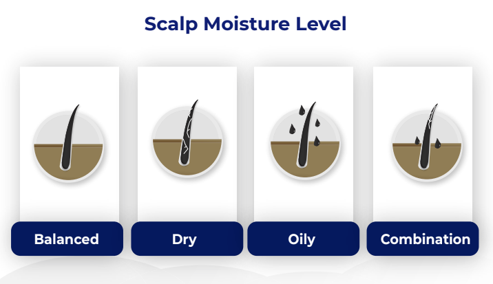 scalp moisture level infogrpahics