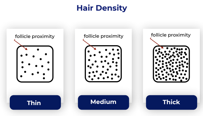 hair density infographics