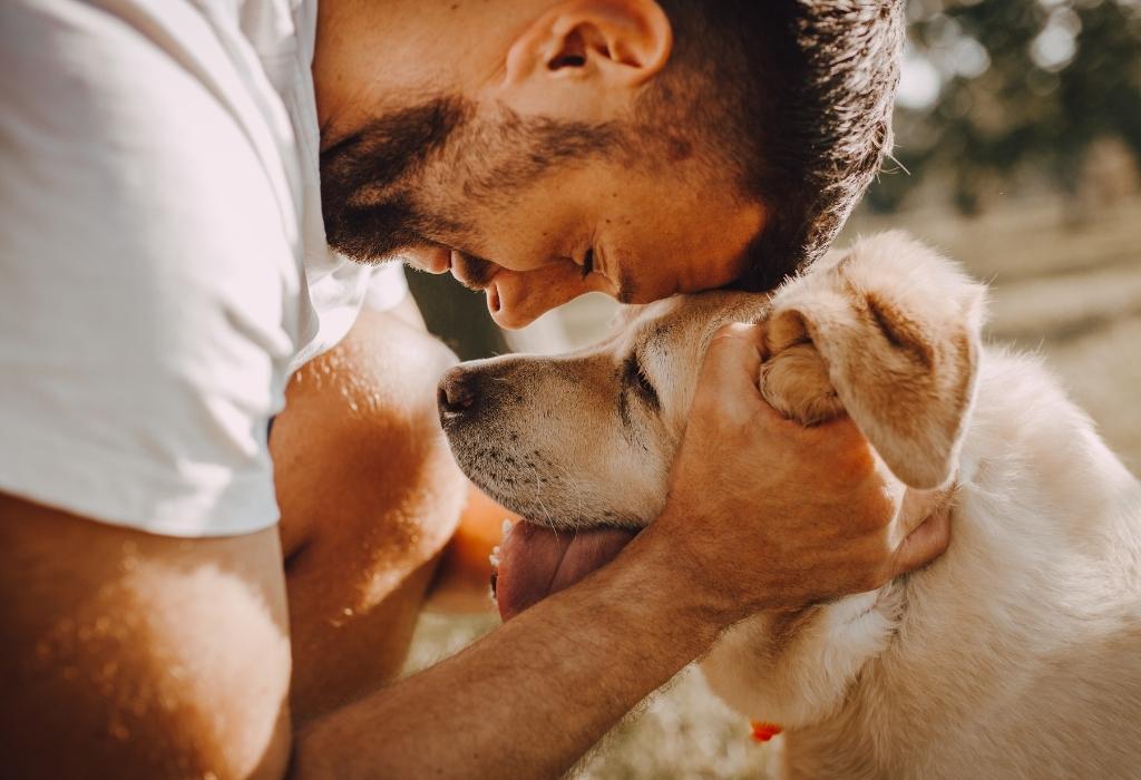 Mann hält Hund mit Zuneigung - wie man Frauen anzieht