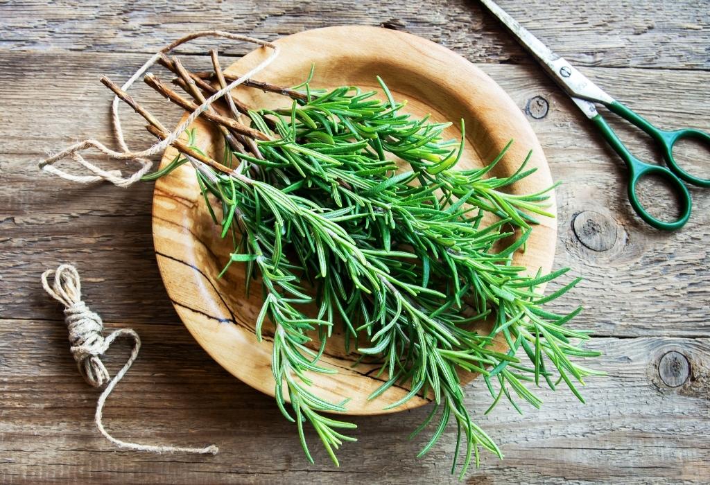 rosemary on a plate - psychology of scent